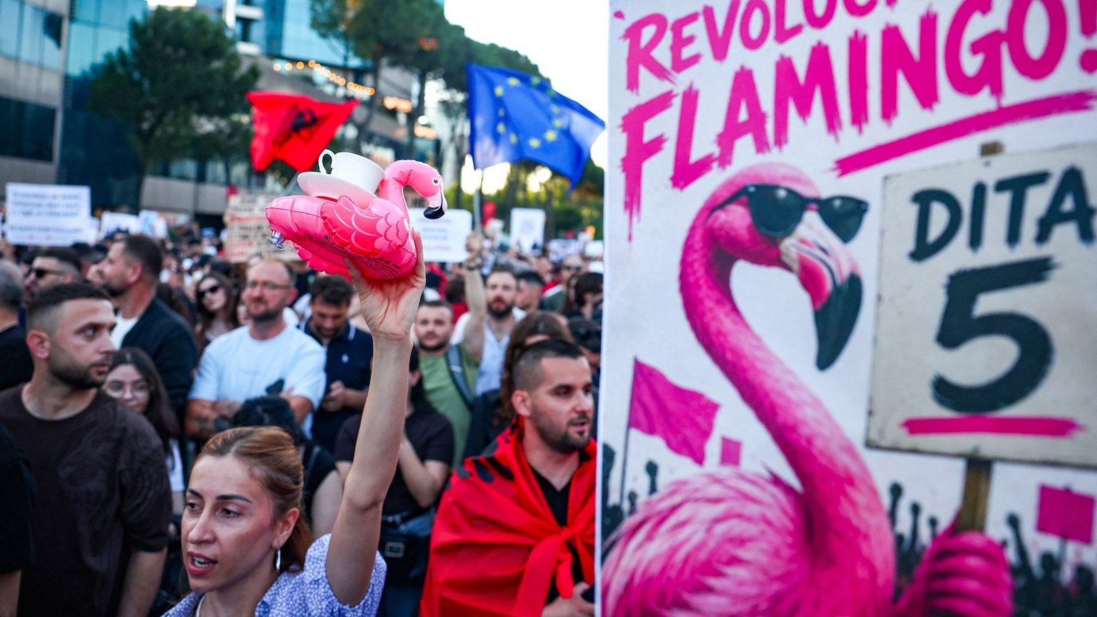 Jared Kushner vs the Flamingos – Albanians protest against luxury resort plans